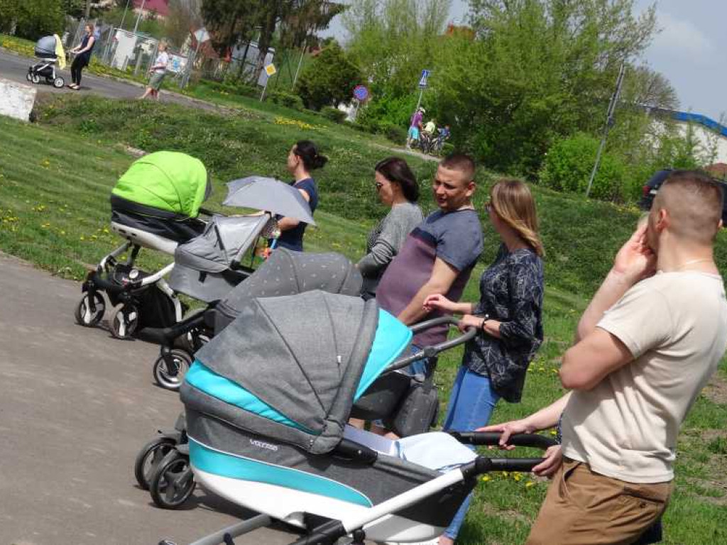 Wrastaj w Hrubieszów - rusza kolejna edycja akcji sadzenia drzewek dla dzieci (ZDJECIA)