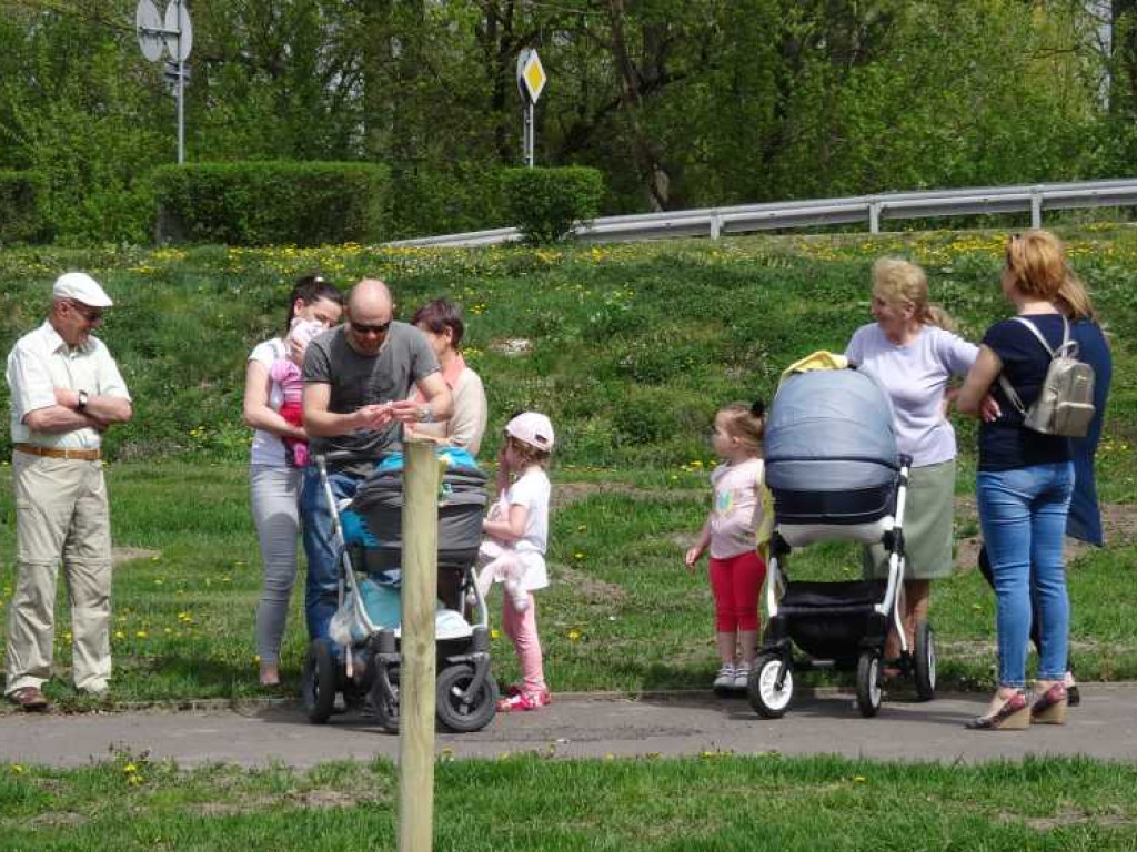 Wrastaj w Hrubieszów - rusza kolejna edycja akcji sadzenia drzewek dla dzieci (ZDJECIA)
