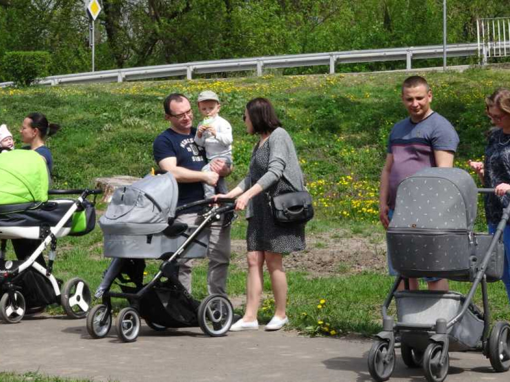 Wrastaj w Hrubieszów - rusza kolejna edycja akcji sadzenia drzewek dla dzieci (ZDJECIA)