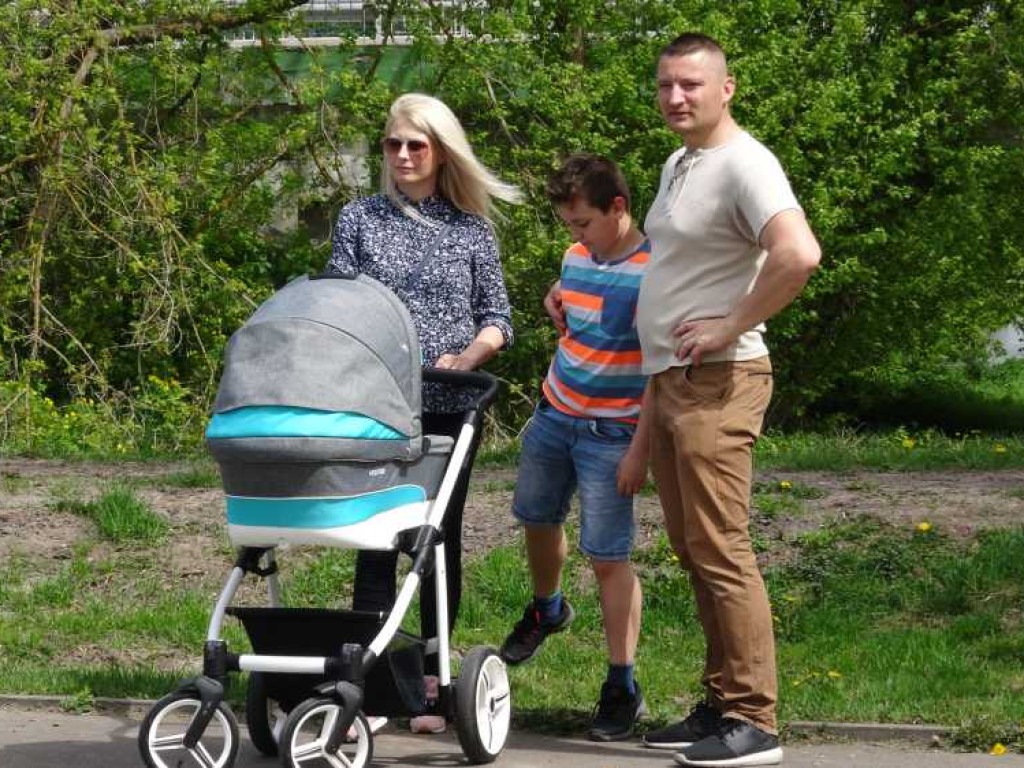 Wrastaj w Hrubieszów - rusza kolejna edycja akcji sadzenia drzewek dla dzieci (ZDJECIA)