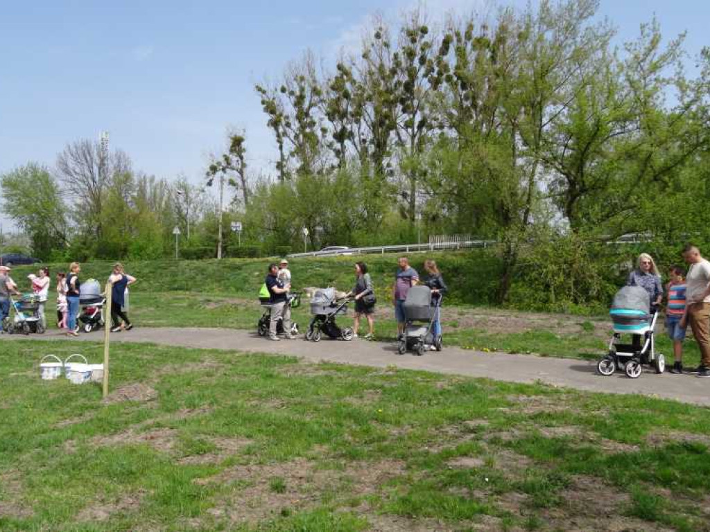 Wrastaj w Hrubieszów - rusza kolejna edycja akcji sadzenia drzewek dla dzieci (ZDJECIA)