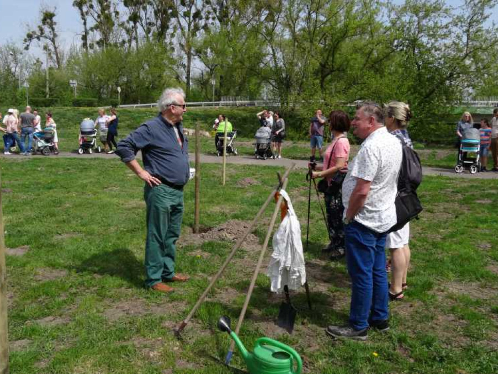 Wrastaj w Hrubieszów - rusza kolejna edycja akcji sadzenia drzewek dla dzieci (ZDJECIA)