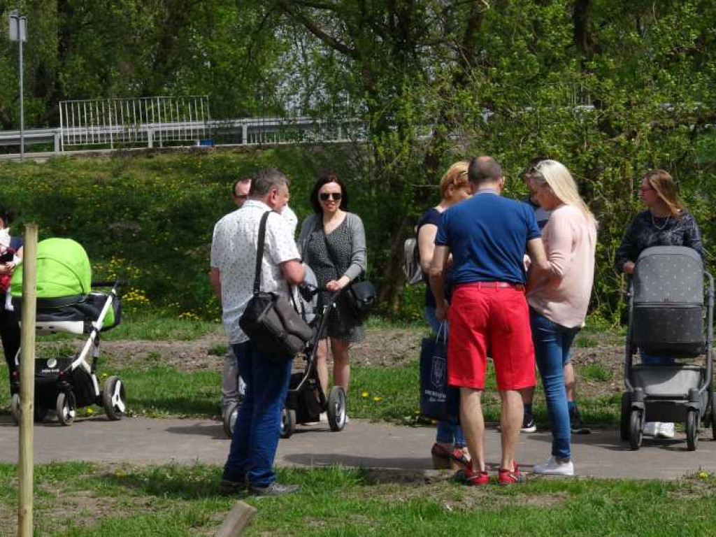 Wrastaj w Hrubieszów - rusza kolejna edycja akcji sadzenia drzewek dla dzieci (ZDJECIA)