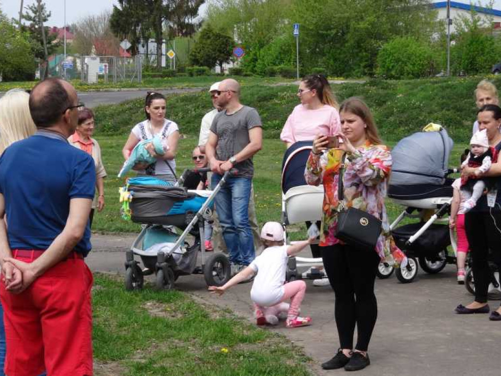 Wrastaj w Hrubieszów - rusza kolejna edycja akcji sadzenia drzewek dla dzieci (ZDJECIA)