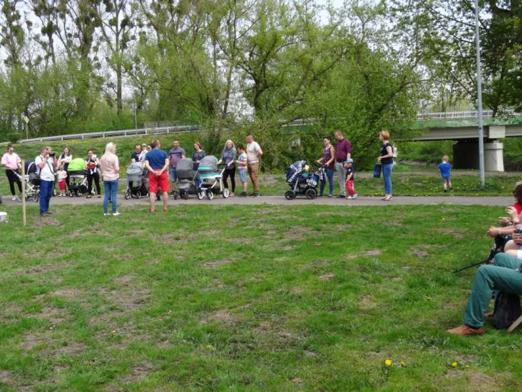 Wrastaj w Hrubieszów - rusza kolejna edycja akcji sadzenia drzewek dla dzieci (ZDJECIA)