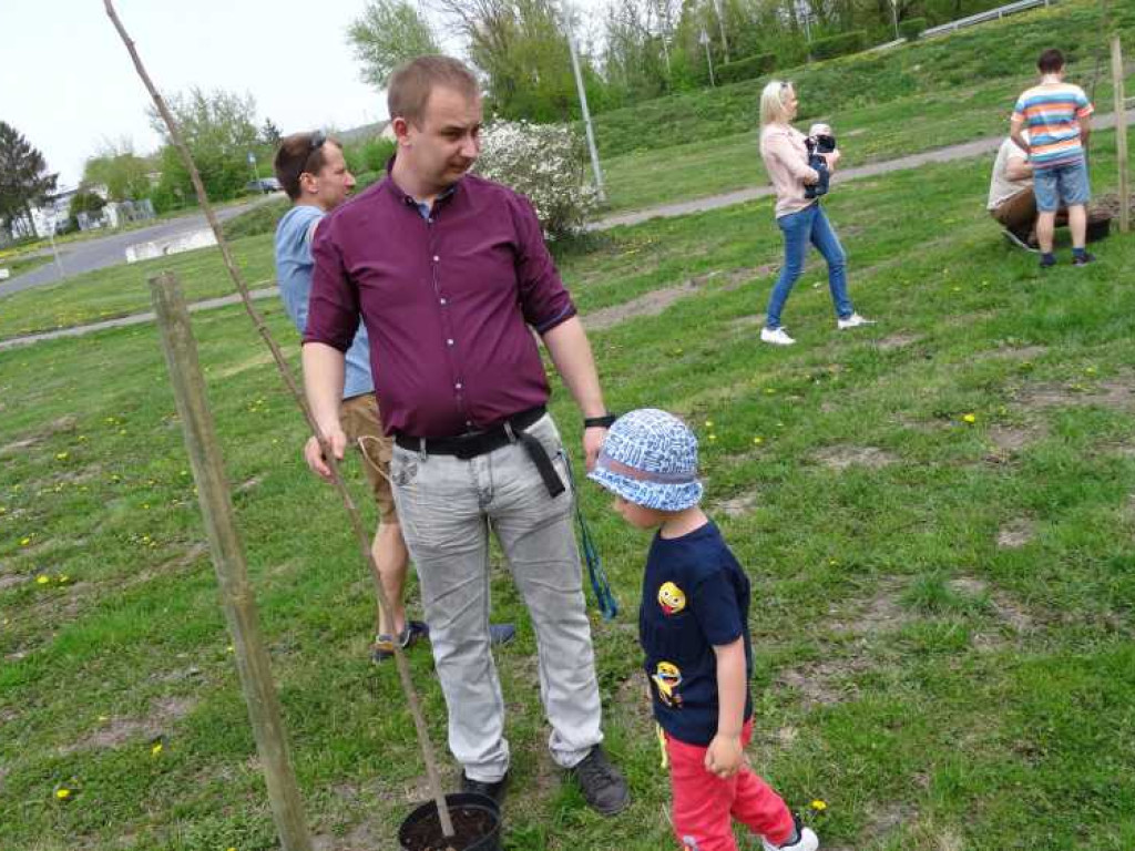 Wrastaj w Hrubieszów - rusza kolejna edycja akcji sadzenia drzewek dla dzieci (ZDJECIA)