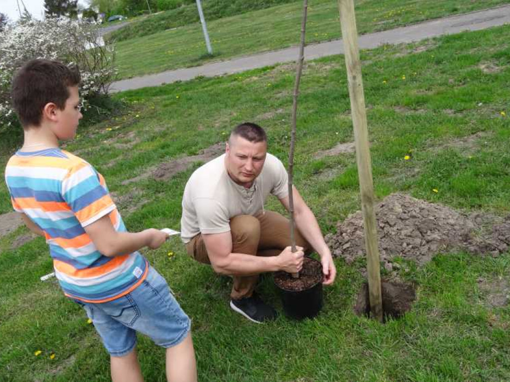 Wrastaj w Hrubieszów - rusza kolejna edycja akcji sadzenia drzewek dla dzieci (ZDJECIA)