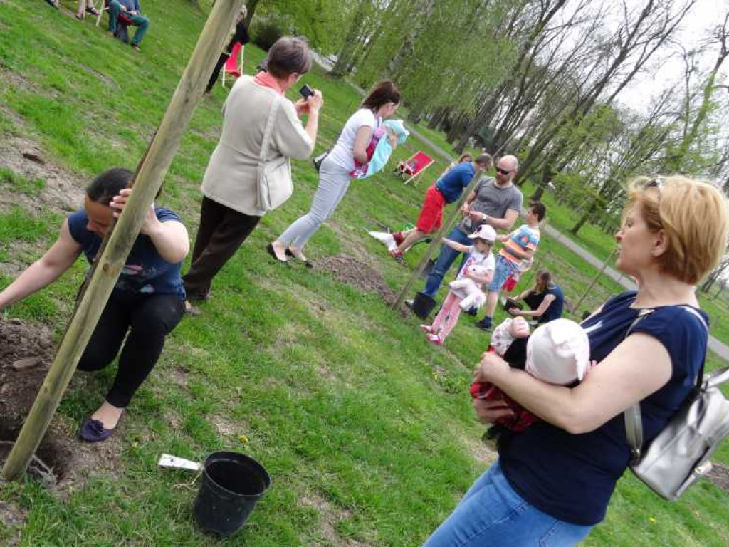 Wrastaj w Hrubieszów - rusza kolejna edycja akcji sadzenia drzewek dla dzieci (ZDJECIA)