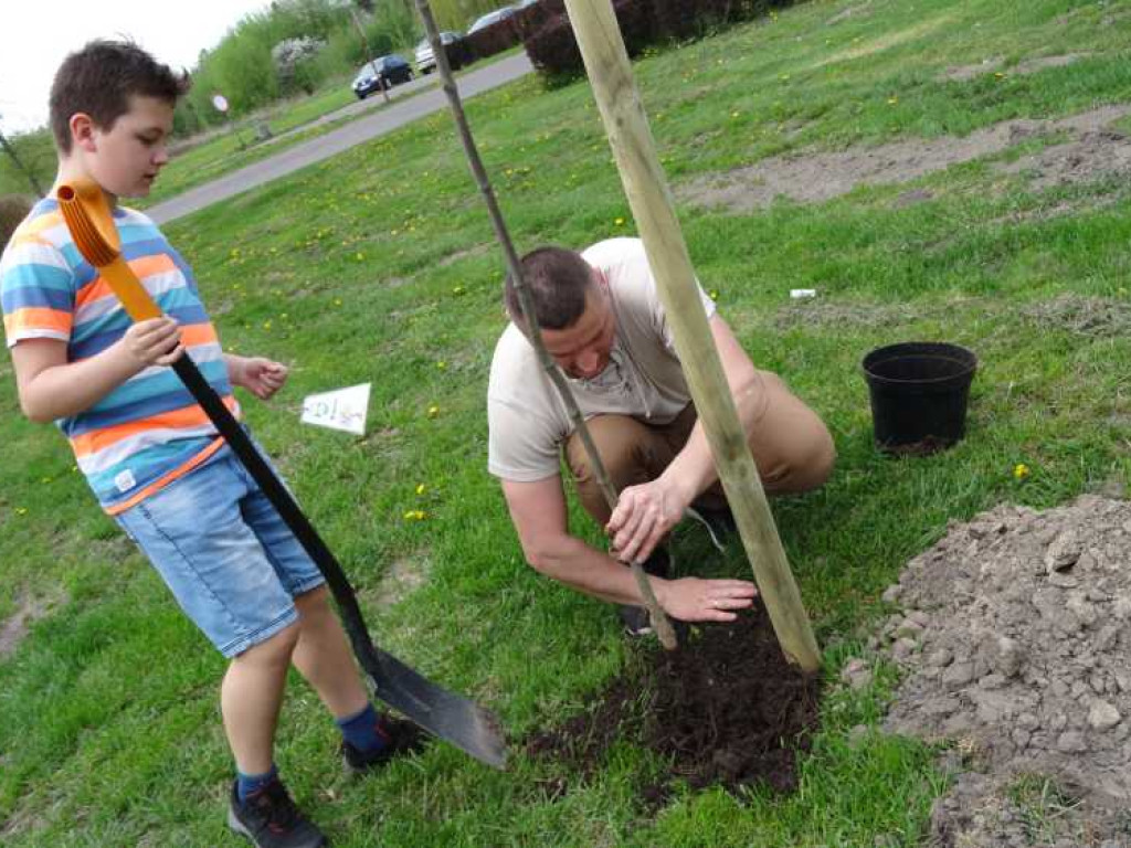 Wrastaj w Hrubieszów - rusza kolejna edycja akcji sadzenia drzewek dla dzieci (ZDJECIA)