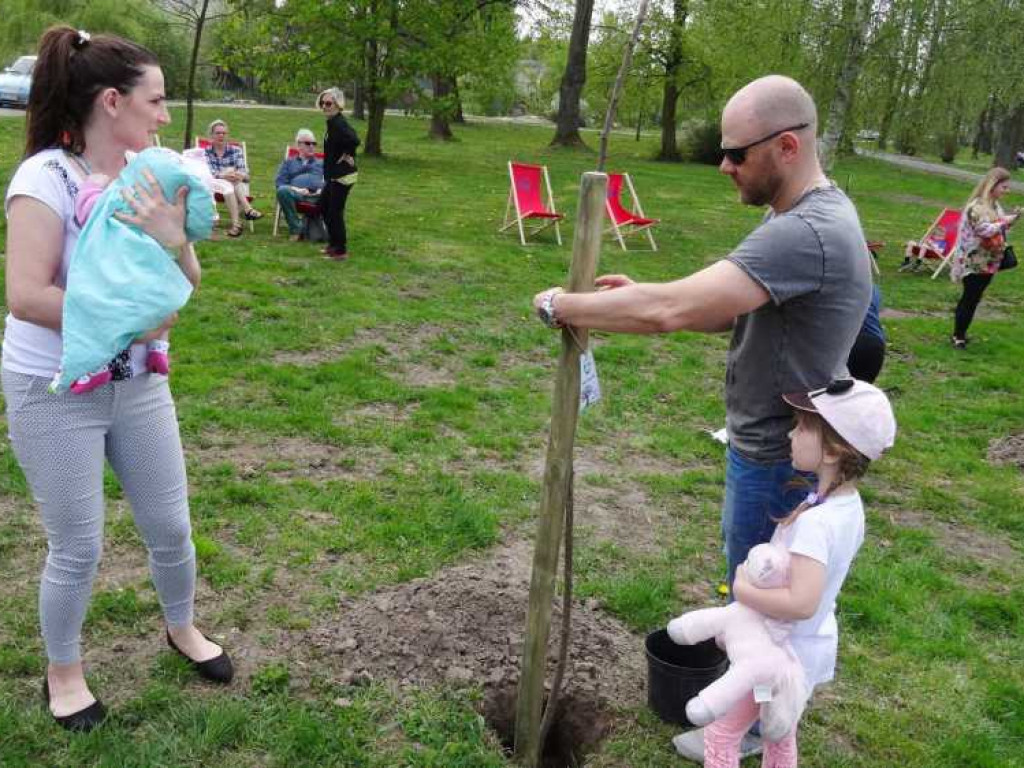 Wrastaj w Hrubieszów - rusza kolejna edycja akcji sadzenia drzewek dla dzieci (ZDJECIA)