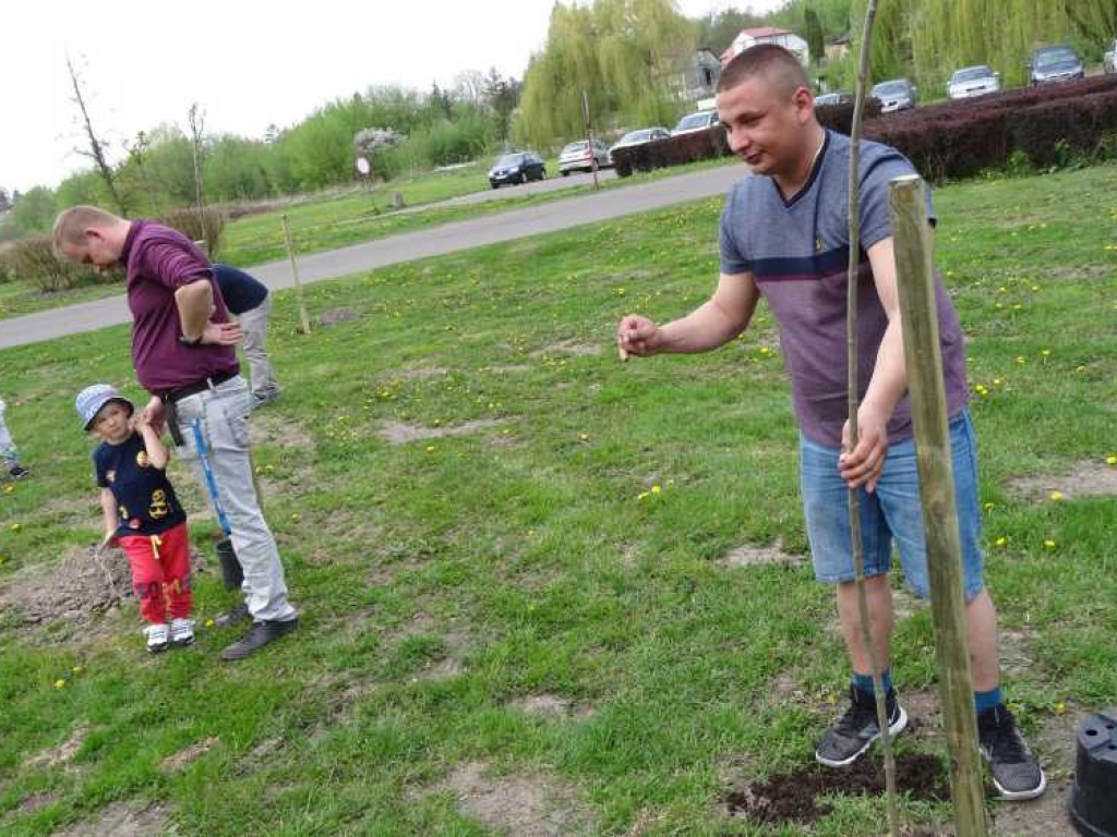 Wrastaj w Hrubieszów - rusza kolejna edycja akcji sadzenia drzewek dla dzieci (ZDJECIA)
