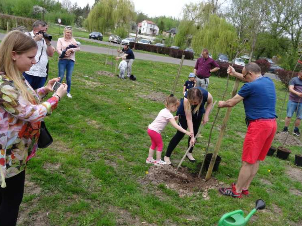 Wrastaj w Hrubieszów - rusza kolejna edycja akcji sadzenia drzewek dla dzieci (ZDJECIA)