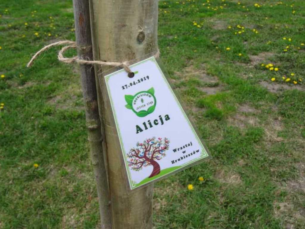 Wrastaj w Hrubieszów - rusza kolejna edycja akcji sadzenia drzewek dla dzieci (ZDJECIA)
