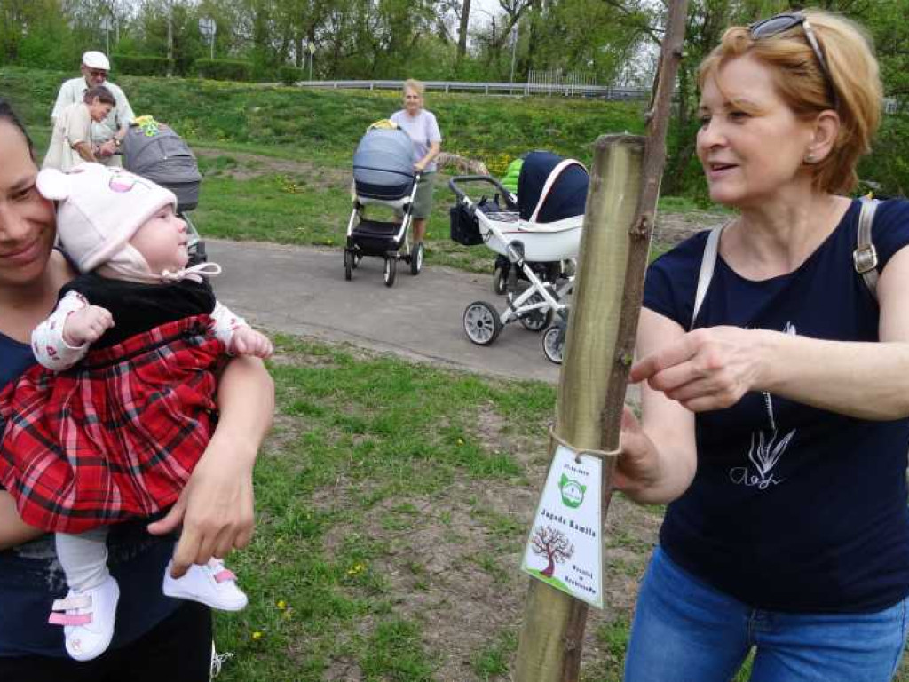Wrastaj w Hrubieszów - rusza kolejna edycja akcji sadzenia drzewek dla dzieci (ZDJECIA)