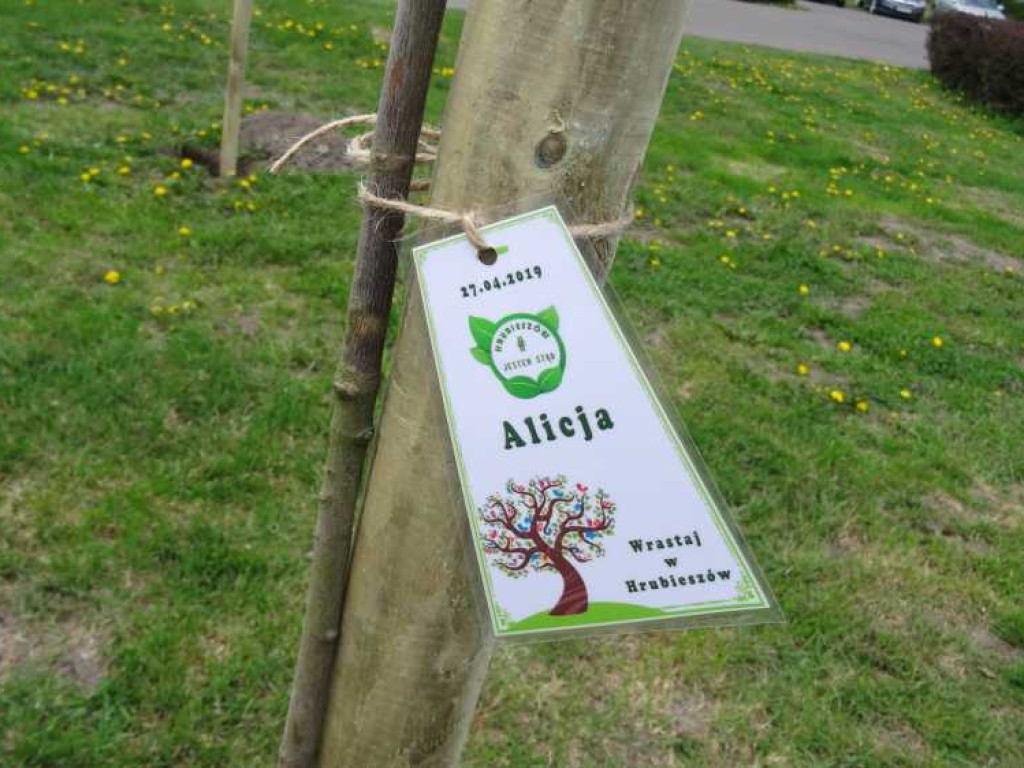 Wrastaj w Hrubieszów - rusza kolejna edycja akcji sadzenia drzewek dla dzieci (ZDJECIA)