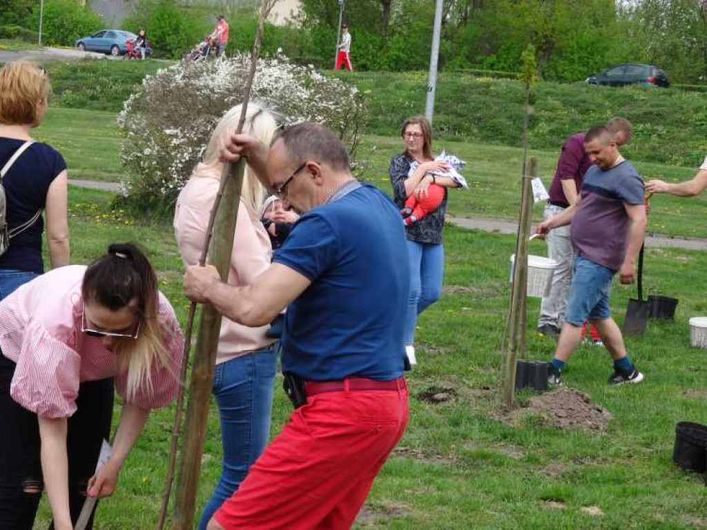 Wrastaj w Hrubieszów - rusza kolejna edycja akcji sadzenia drzewek dla dzieci (ZDJECIA)