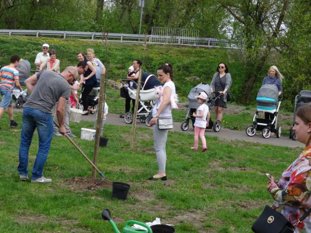 Wrastaj w Hrubieszów - rusza kolejna edycja akcji sadzenia drzewek dla dzieci (ZDJECIA)