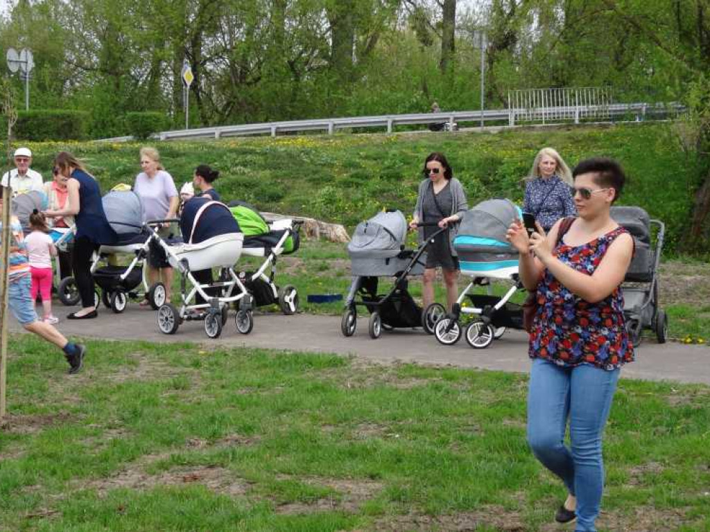 Wrastaj w Hrubieszów - rusza kolejna edycja akcji sadzenia drzewek dla dzieci (ZDJECIA)