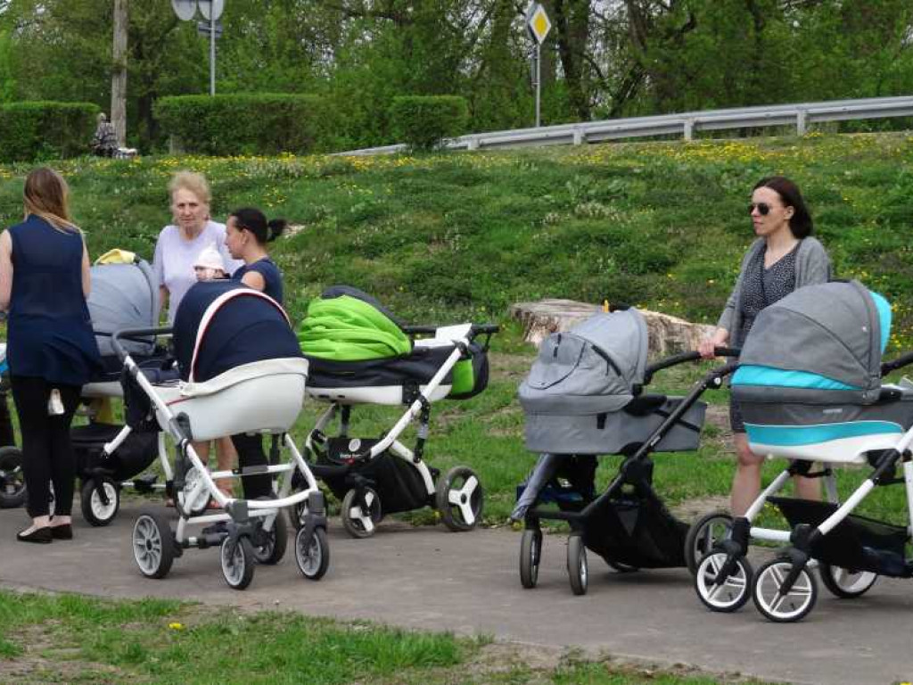 Wrastaj w Hrubieszów - rusza kolejna edycja akcji sadzenia drzewek dla dzieci (ZDJECIA)