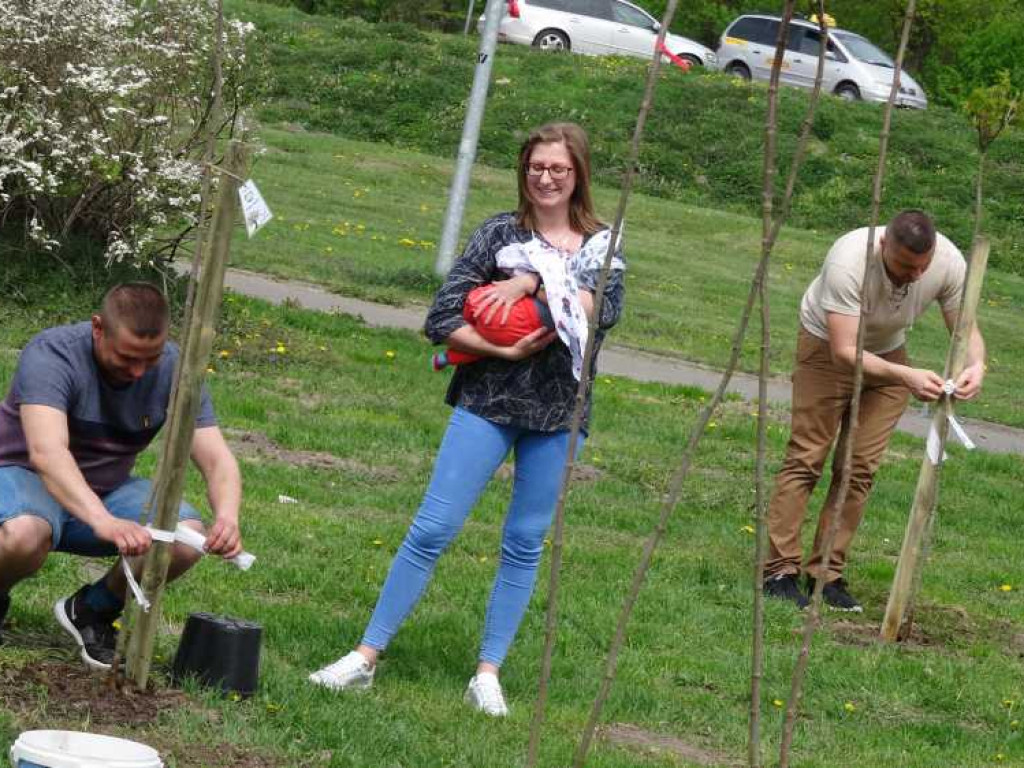 Wrastaj w Hrubieszów - rusza kolejna edycja akcji sadzenia drzewek dla dzieci (ZDJECIA)