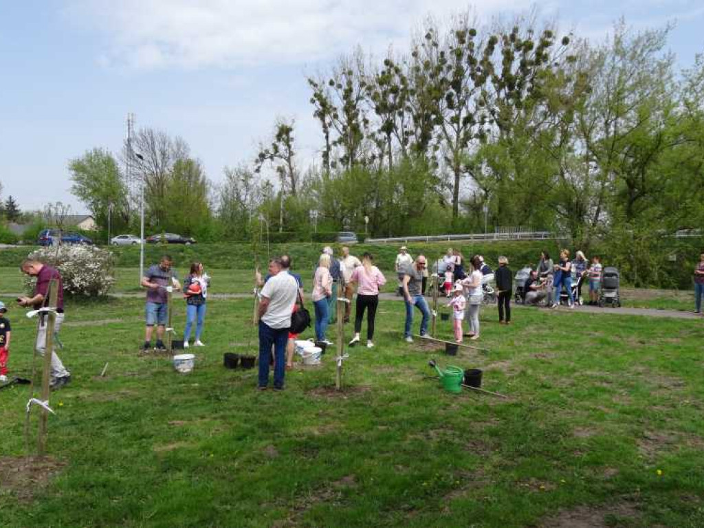 Wrastaj w Hrubieszów - rusza kolejna edycja akcji sadzenia drzewek dla dzieci (ZDJECIA)