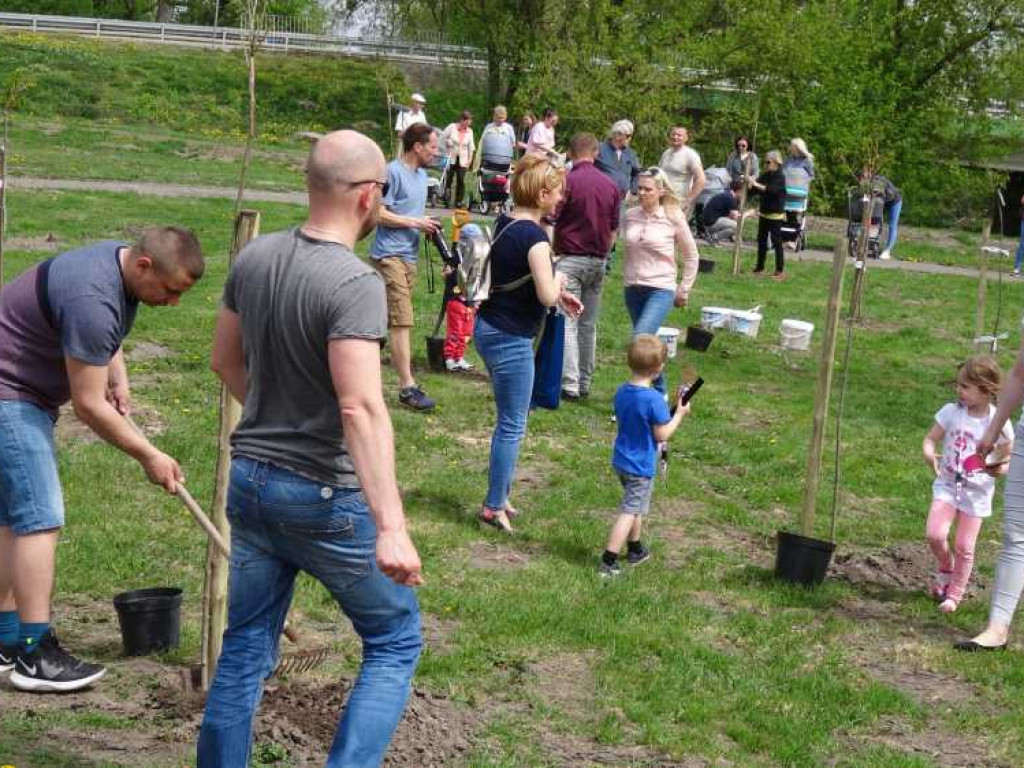 Wrastaj w Hrubieszów - rusza kolejna edycja akcji sadzenia drzewek dla dzieci (ZDJECIA)