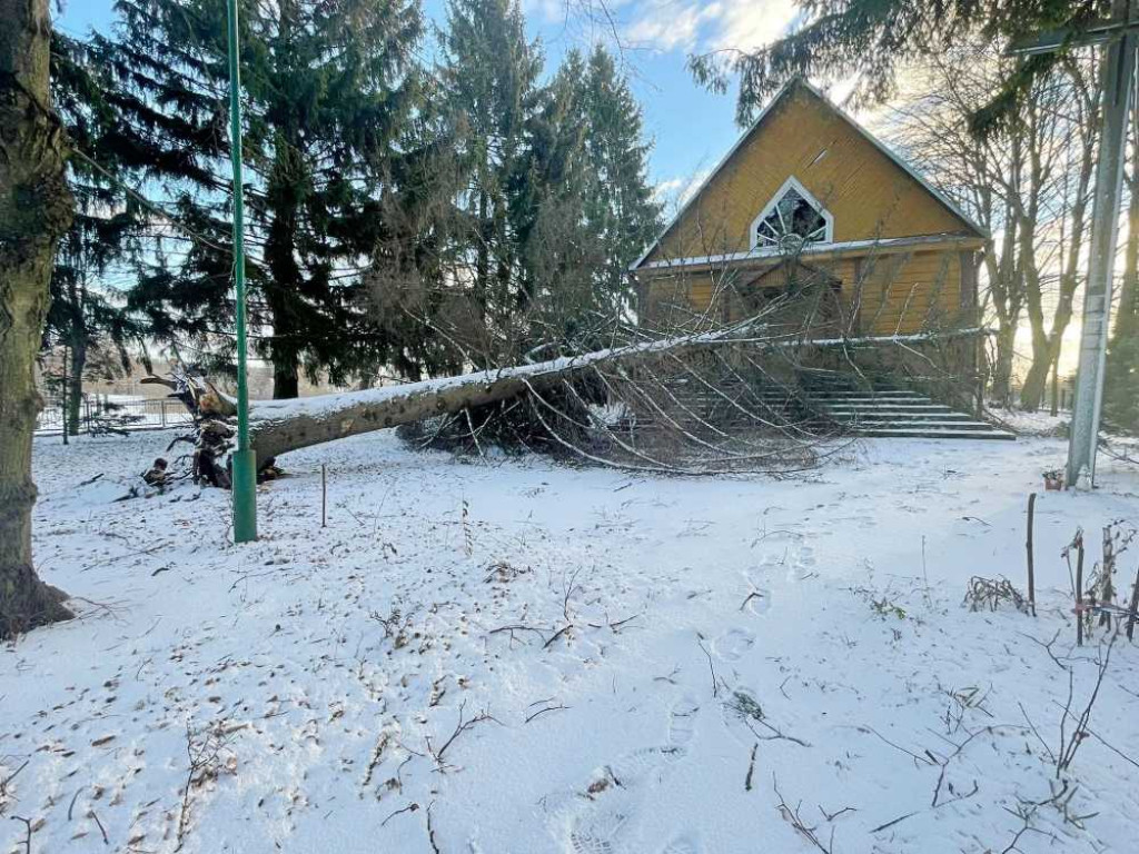 Silny wiatr. Hrubieszowscy strażacy interweniowali 9 razy (ZDJĘCIA)