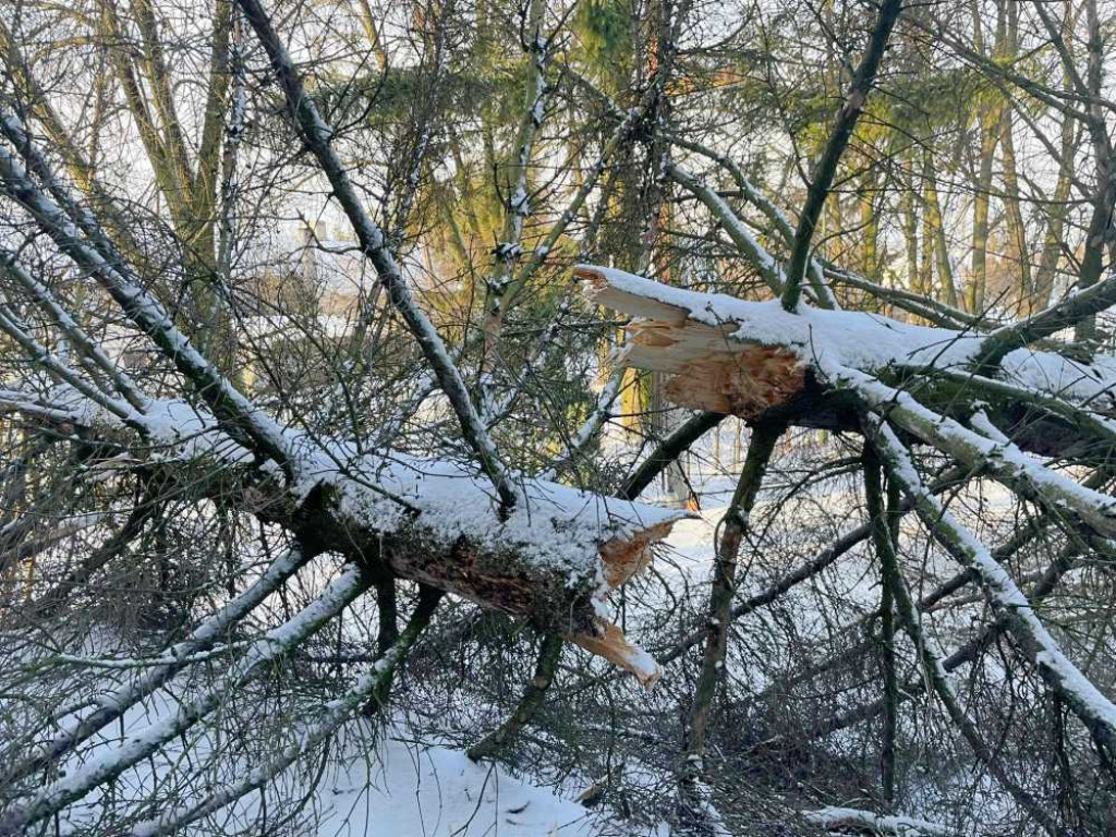 Silny wiatr. Hrubieszowscy strażacy interweniowali 9 razy (ZDJĘCIA)