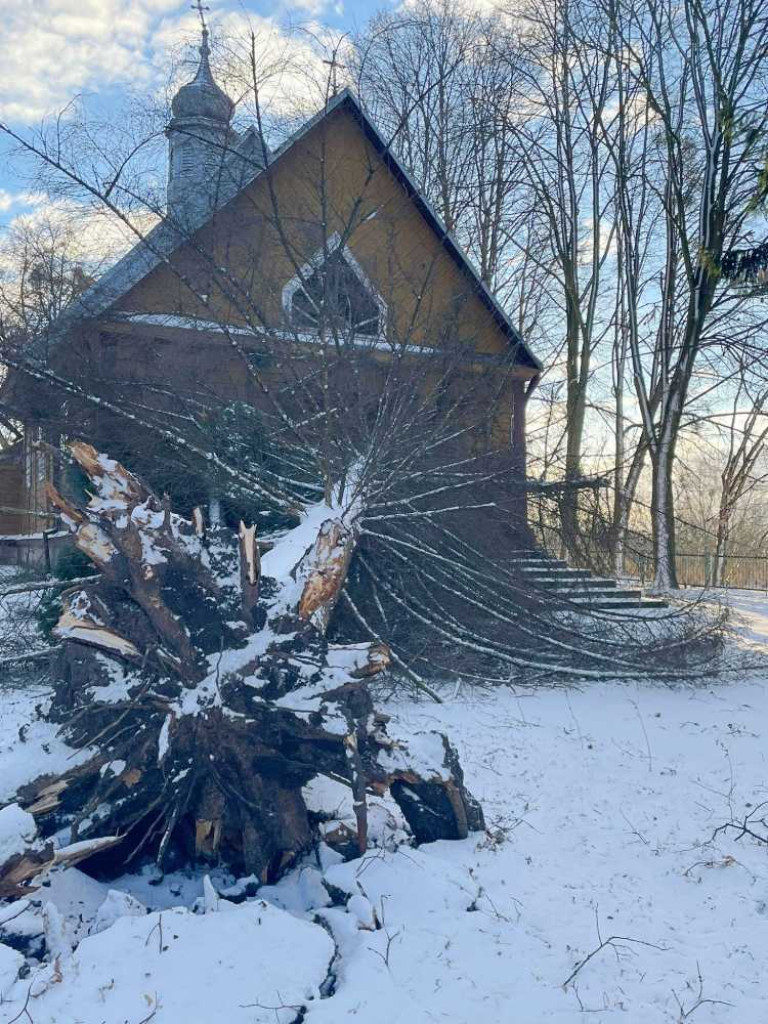 Silny wiatr. Hrubieszowscy strażacy interweniowali 9 razy (ZDJĘCIA)