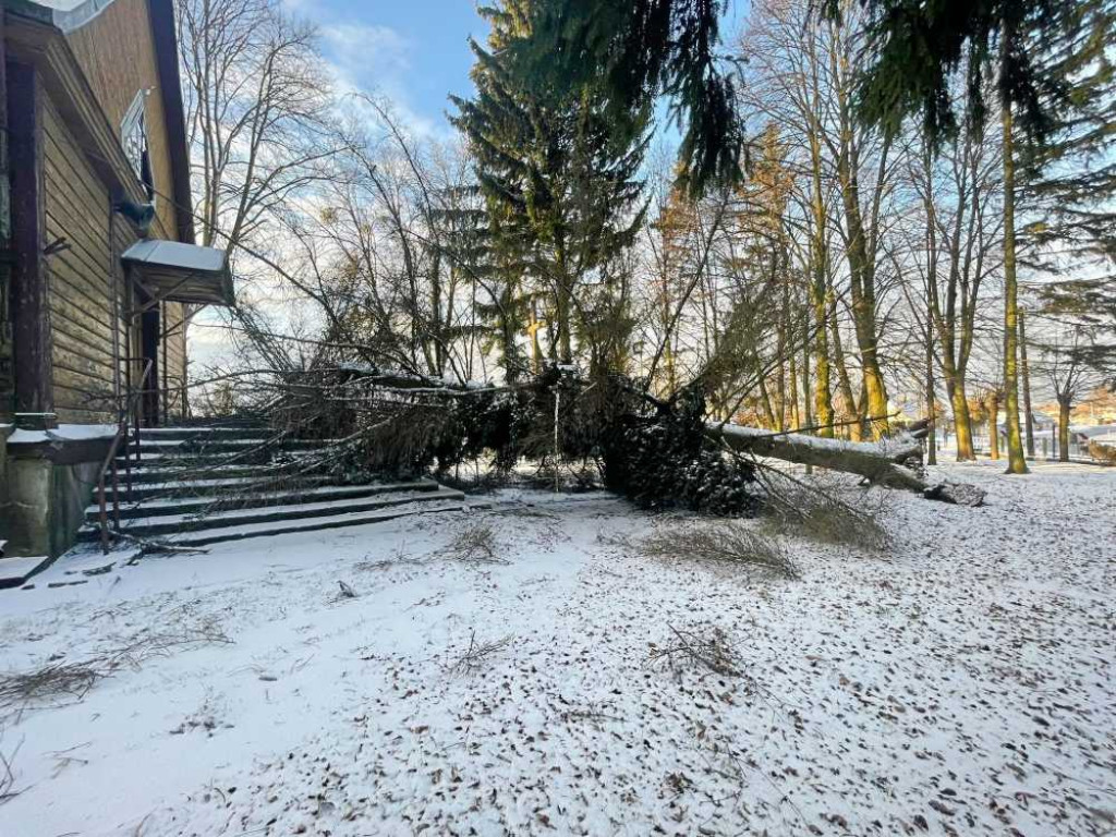 Silny wiatr. Hrubieszowscy strażacy interweniowali 9 razy (ZDJĘCIA)