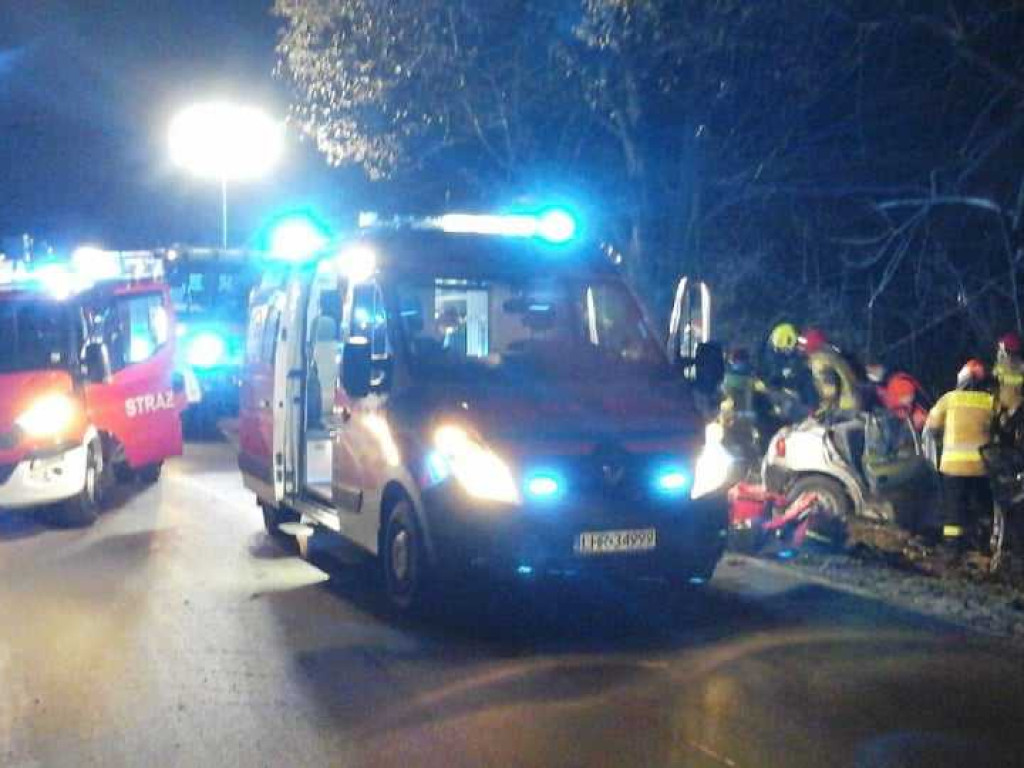 Wypadek w Werbkowicach. Kierowca został zakleszczony w aucie (ZDJĘCIA)