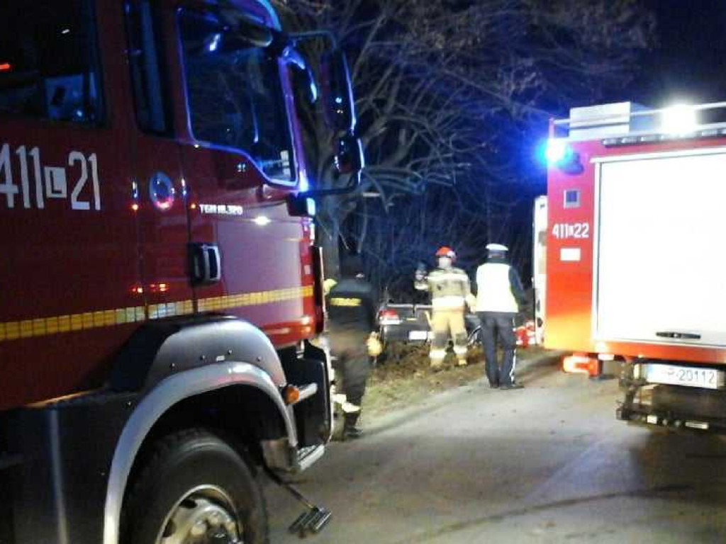 Wypadek w Werbkowicach. Kierowca został zakleszczony w aucie (ZDJĘCIA)
