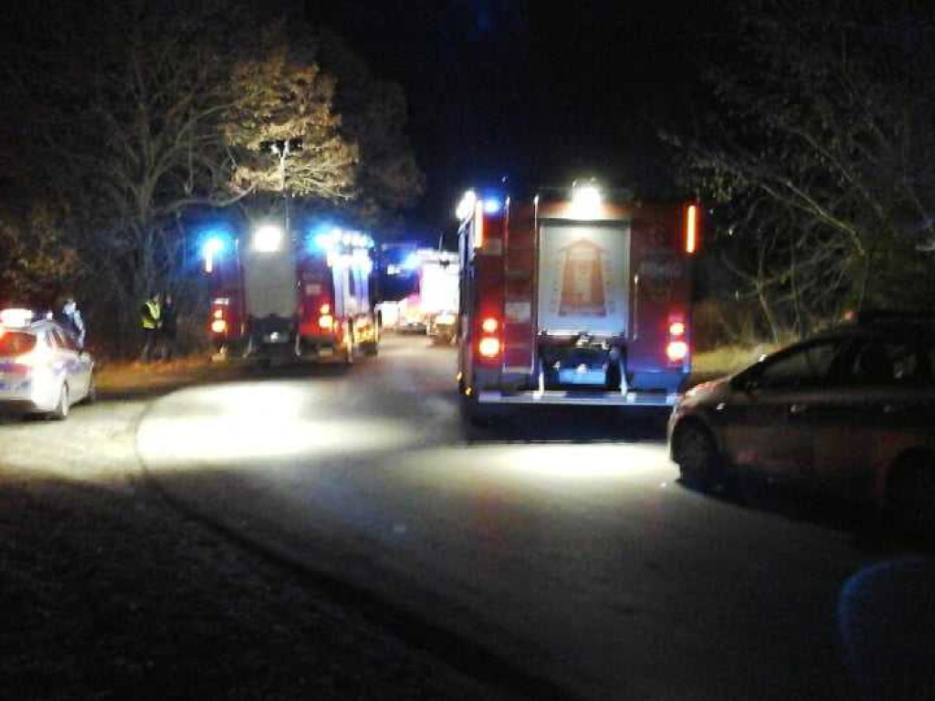 Wypadek w Werbkowicach. Kierowca został zakleszczony w aucie (ZDJĘCIA)