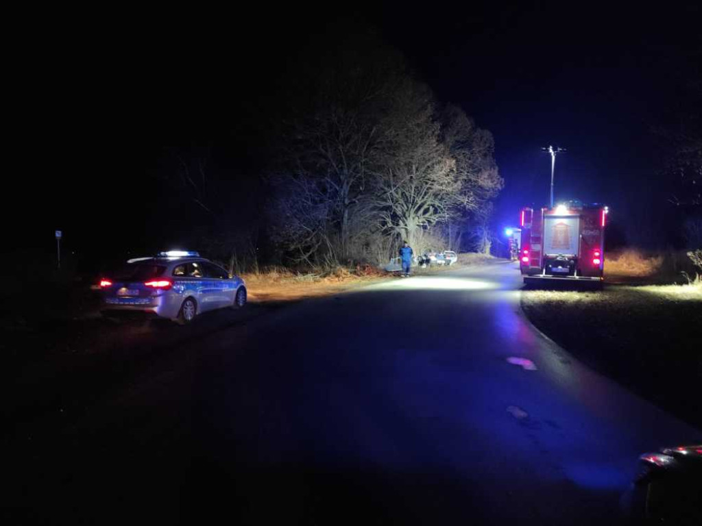 Wypadek w Werbkowicach. Kierowca został zakleszczony w aucie (ZDJĘCIA)