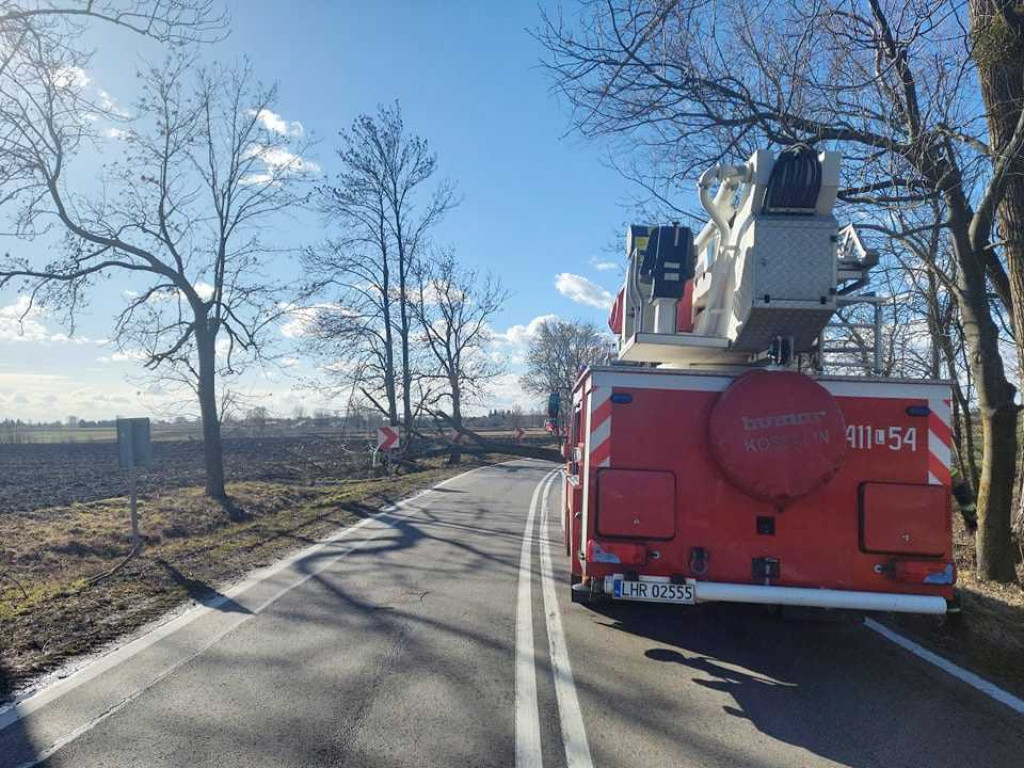 Siny wiatr w powiecie hrubieszowskim. Strażacy interweniowali 19 razy (ZDJĘCIA)