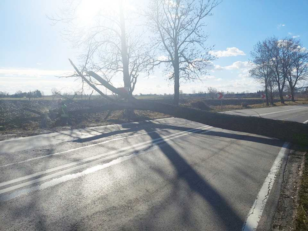 Siny wiatr w powiecie hrubieszowskim. Strażacy interweniowali 19 razy (ZDJĘCIA)