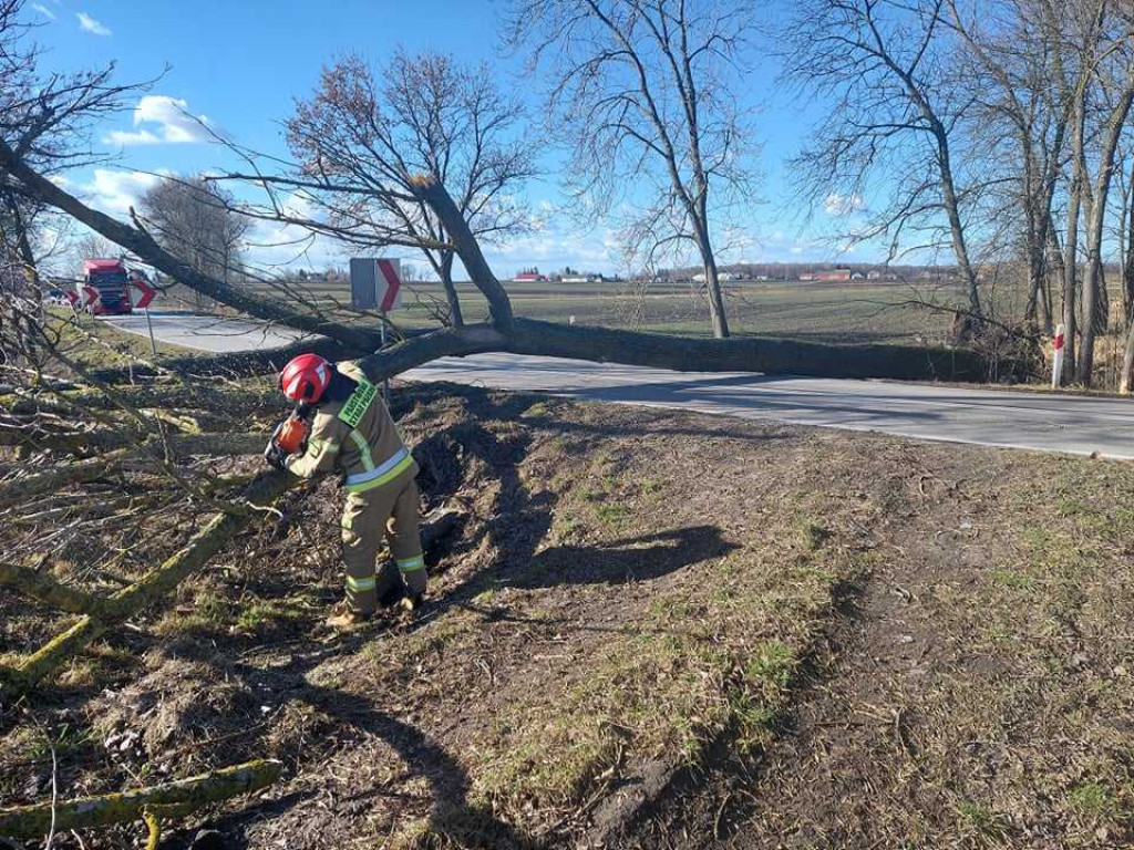 Siny wiatr w powiecie hrubieszowskim. Strażacy interweniowali 19 razy (ZDJĘCIA)