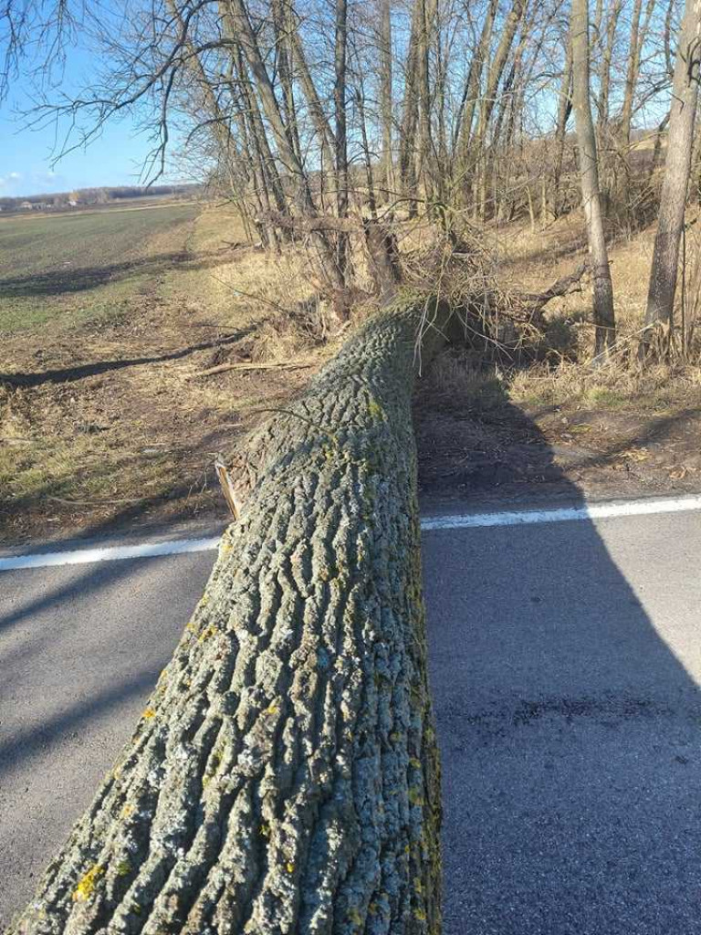Siny wiatr w powiecie hrubieszowskim. Strażacy interweniowali 19 razy (ZDJĘCIA)