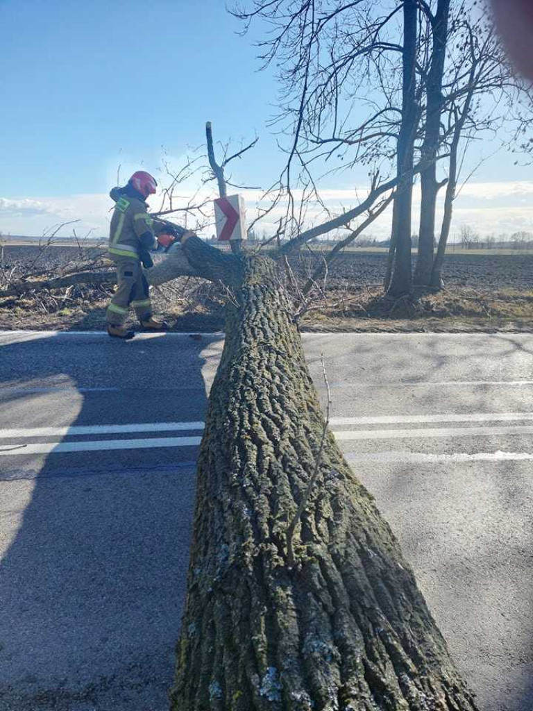 Siny wiatr w powiecie hrubieszowskim. Strażacy interweniowali 19 razy (ZDJĘCIA)