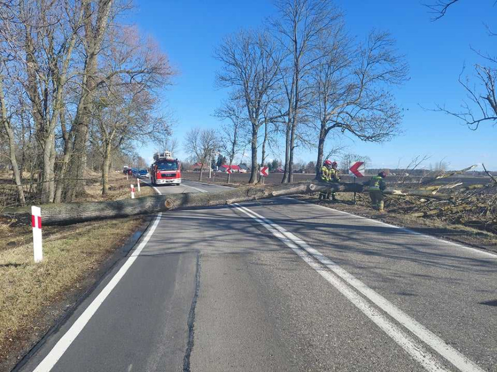 Siny wiatr w powiecie hrubieszowskim. Strażacy interweniowali 19 razy (ZDJĘCIA)