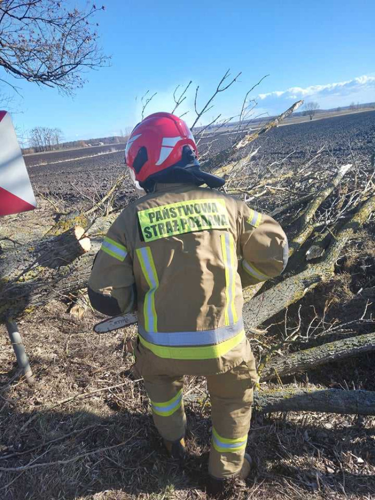 Siny wiatr w powiecie hrubieszowskim. Strażacy interweniowali 19 razy (ZDJĘCIA)