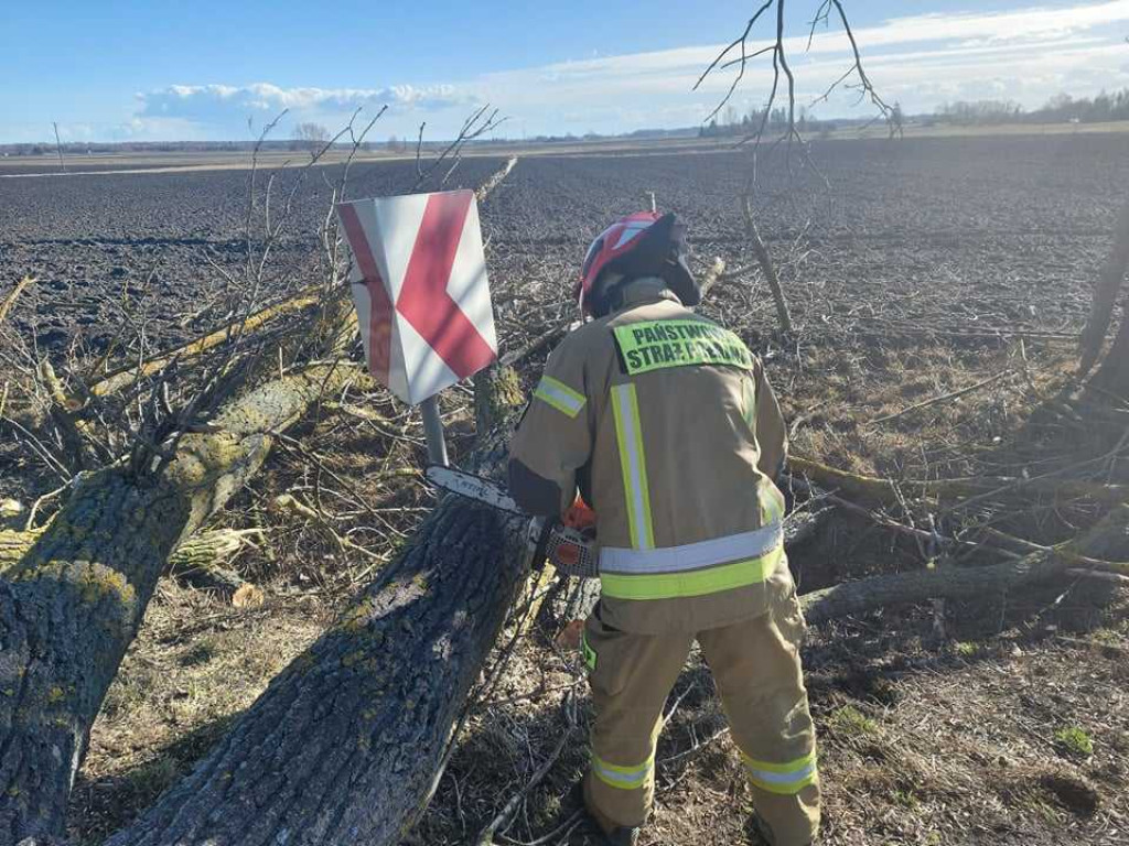 Siny wiatr w powiecie hrubieszowskim. Strażacy interweniowali 19 razy (ZDJĘCIA)