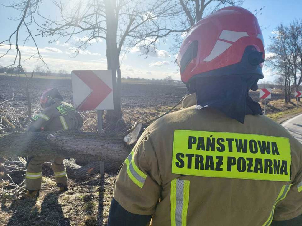 Siny wiatr w powiecie hrubieszowskim. Strażacy interweniowali 19 razy (ZDJĘCIA)