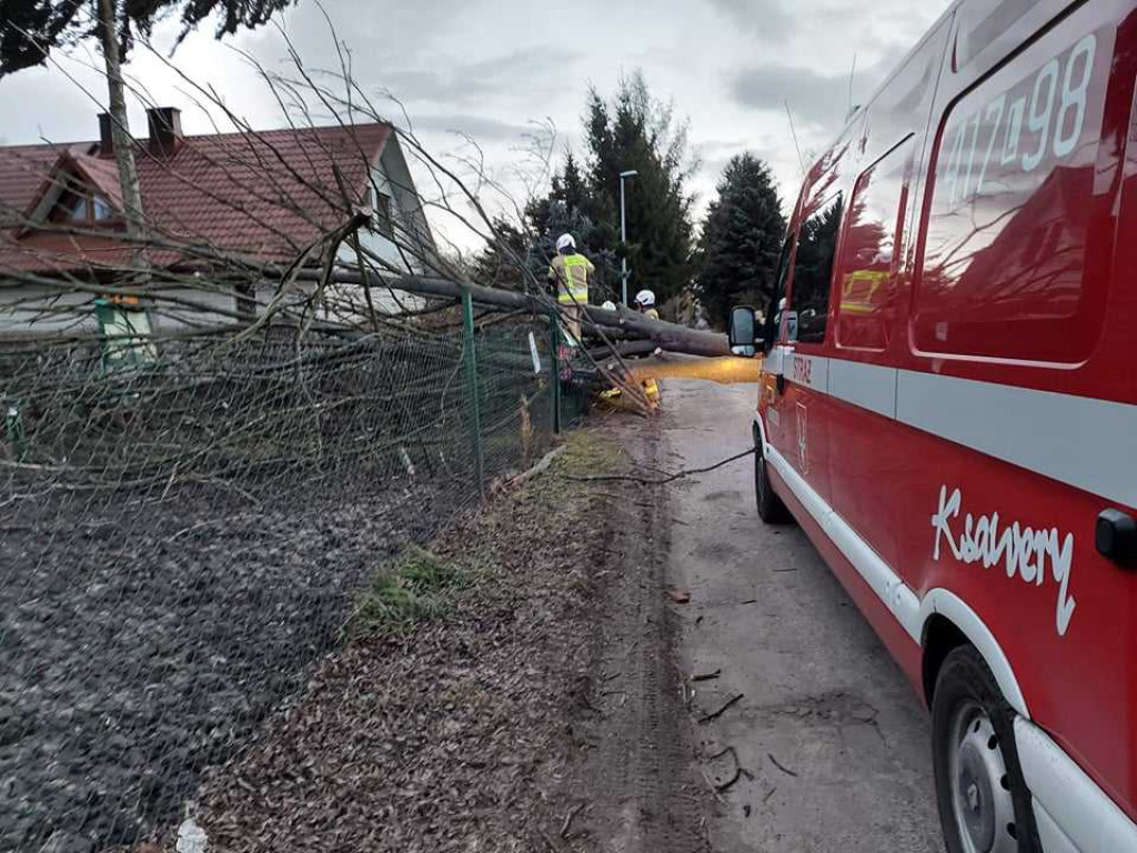 Siny wiatr w powiecie hrubieszowskim. Strażacy interweniowali 19 razy (ZDJĘCIA)