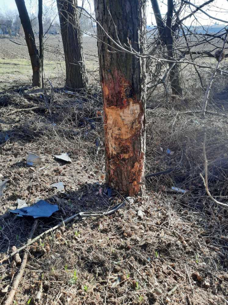 Prawdopodobnie zasłabł i uderzył w drzewo. Groźny wypadek w Szpikołosach (ZDJĘCIA)