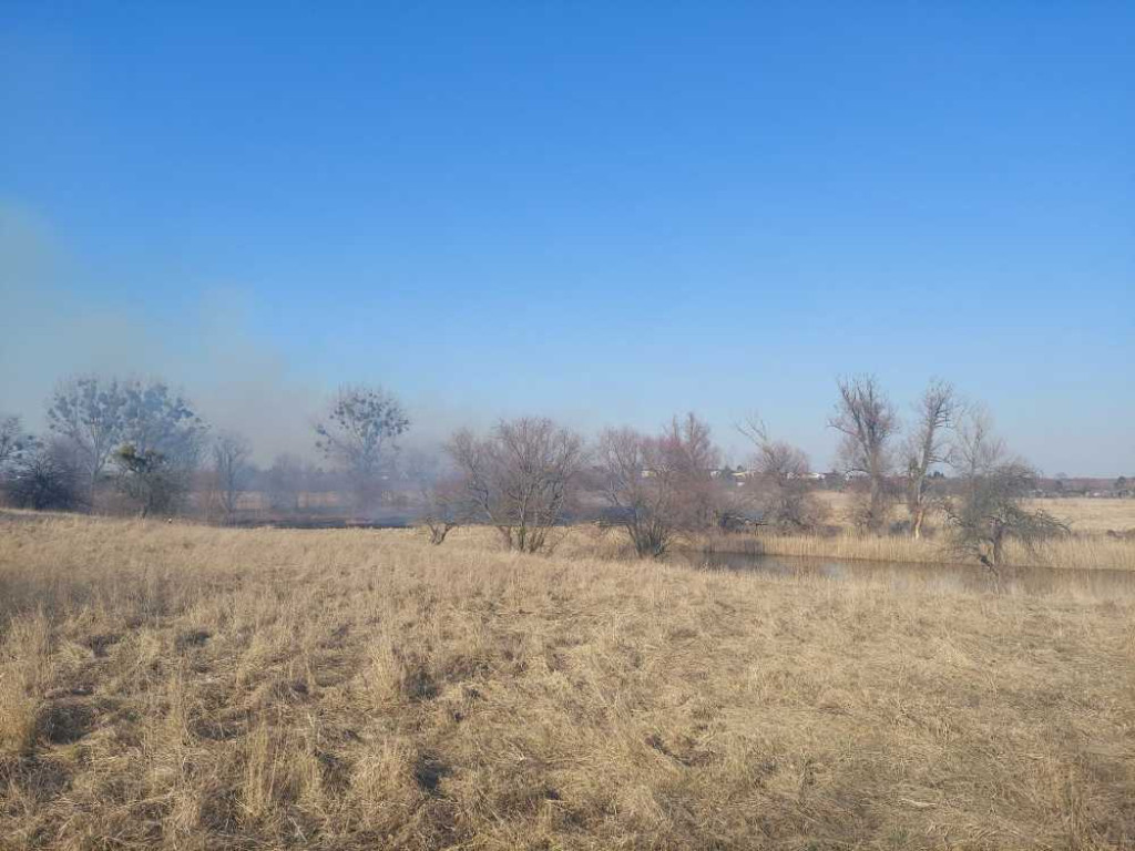Hrubieszów: Pożar traw przy Kruczej gasiło 17 strażaków (ZDJĘCIA)