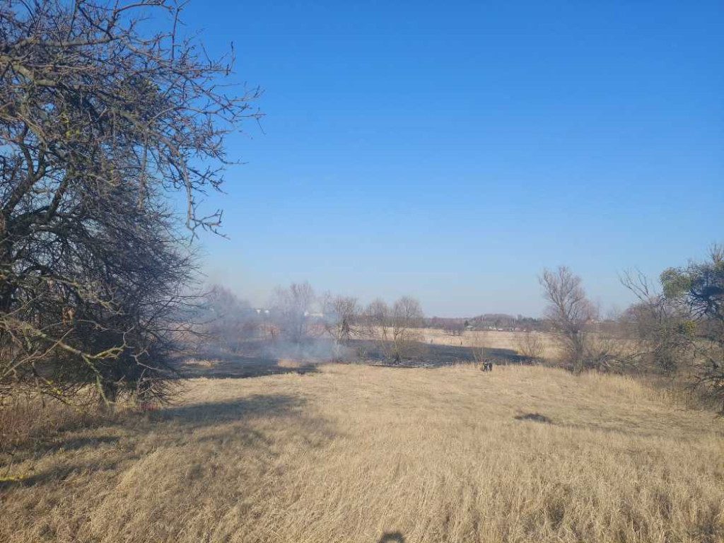Hrubieszów: Pożar traw przy Kruczej gasiło 17 strażaków (ZDJĘCIA)