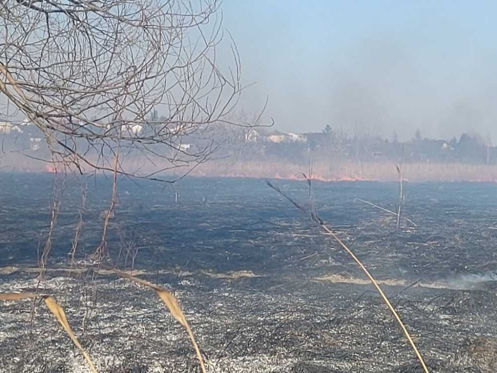 Hrubieszów: Pożar traw przy Kruczej gasiło 17 strażaków (ZDJĘCIA)