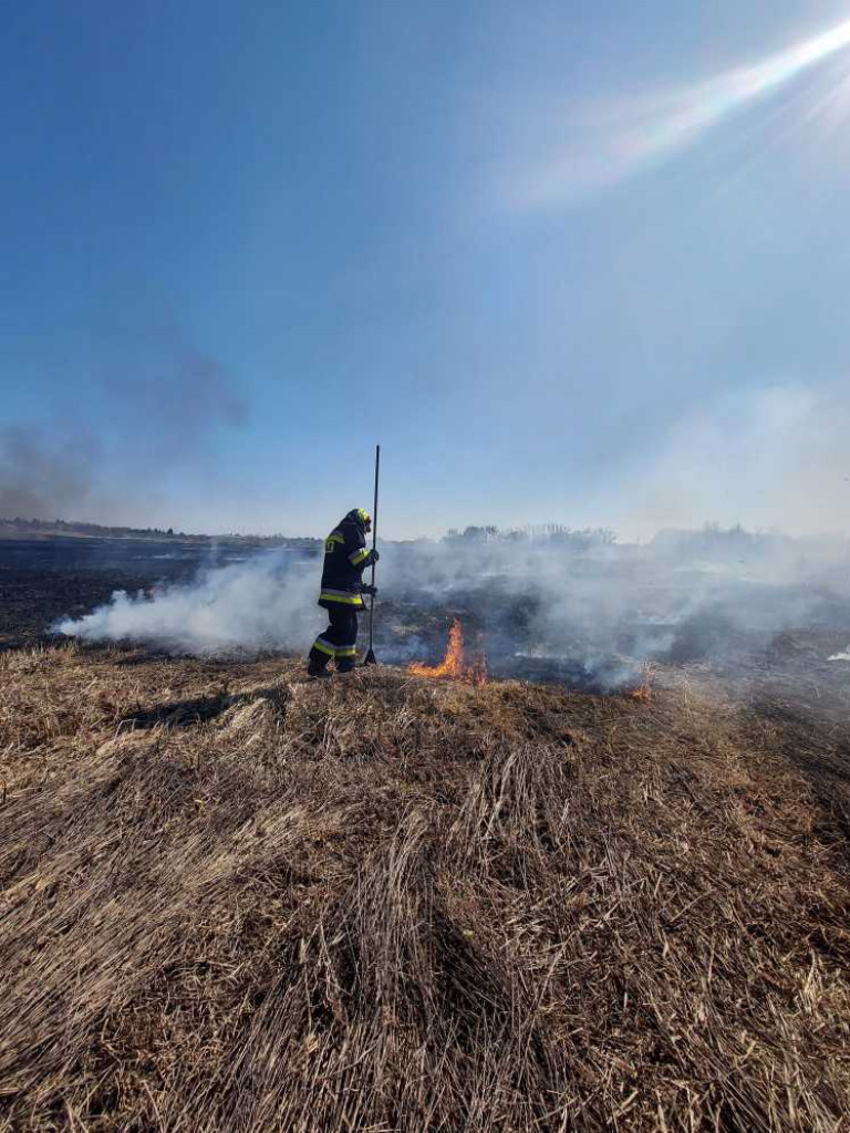 Hrubieszów: Kolejny pożar suchych traw - spłonęło 10 ha, w akcji uczestniczyło 33 strażaków (ZDJĘCIA)