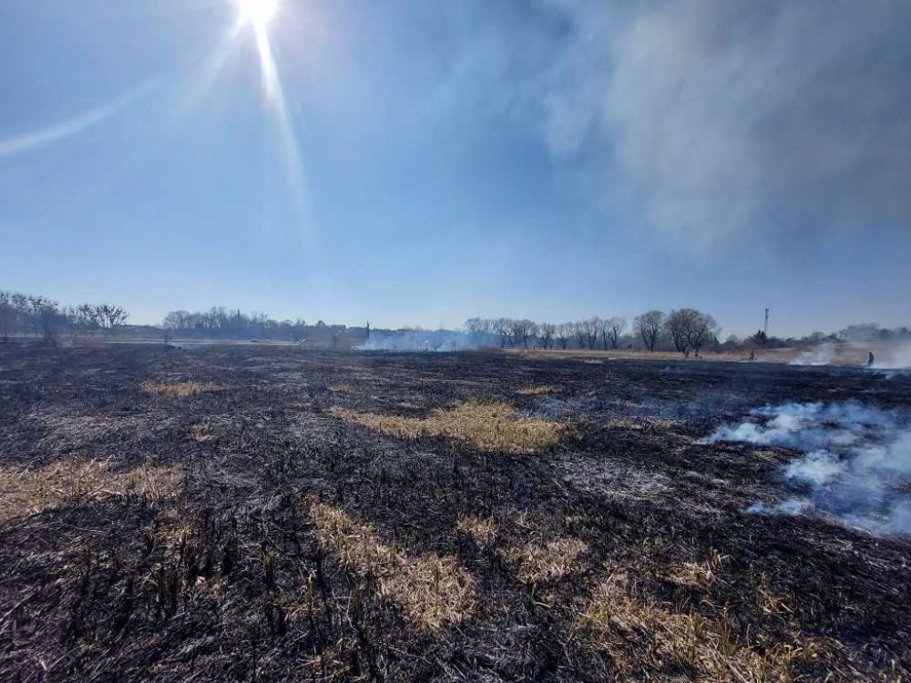 Hrubieszów: Kolejny pożar suchych traw - spłonęło 10 ha, w akcji uczestniczyło 33 strażaków (ZDJĘCIA)